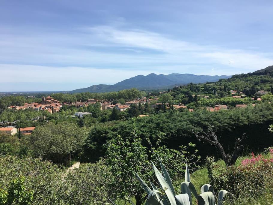 Au Coeur De Ville Avec Terrasse Céret Exteriör bild