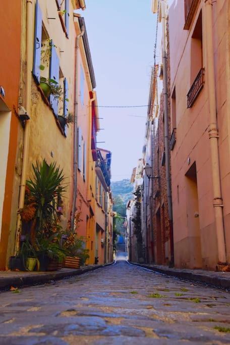 Au Coeur De Ville Avec Terrasse Céret Exteriör bild