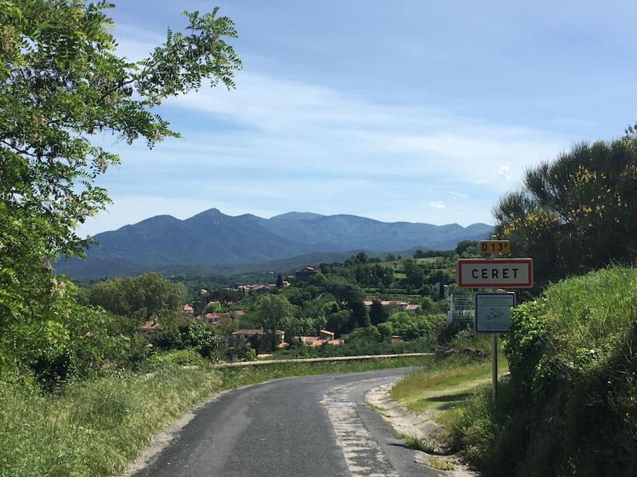Au Coeur De Ville Avec Terrasse Céret Exteriör bild
