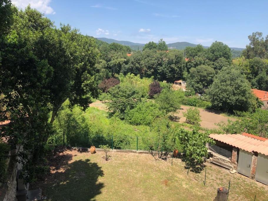 Au Coeur De Ville Avec Terrasse Céret Exteriör bild